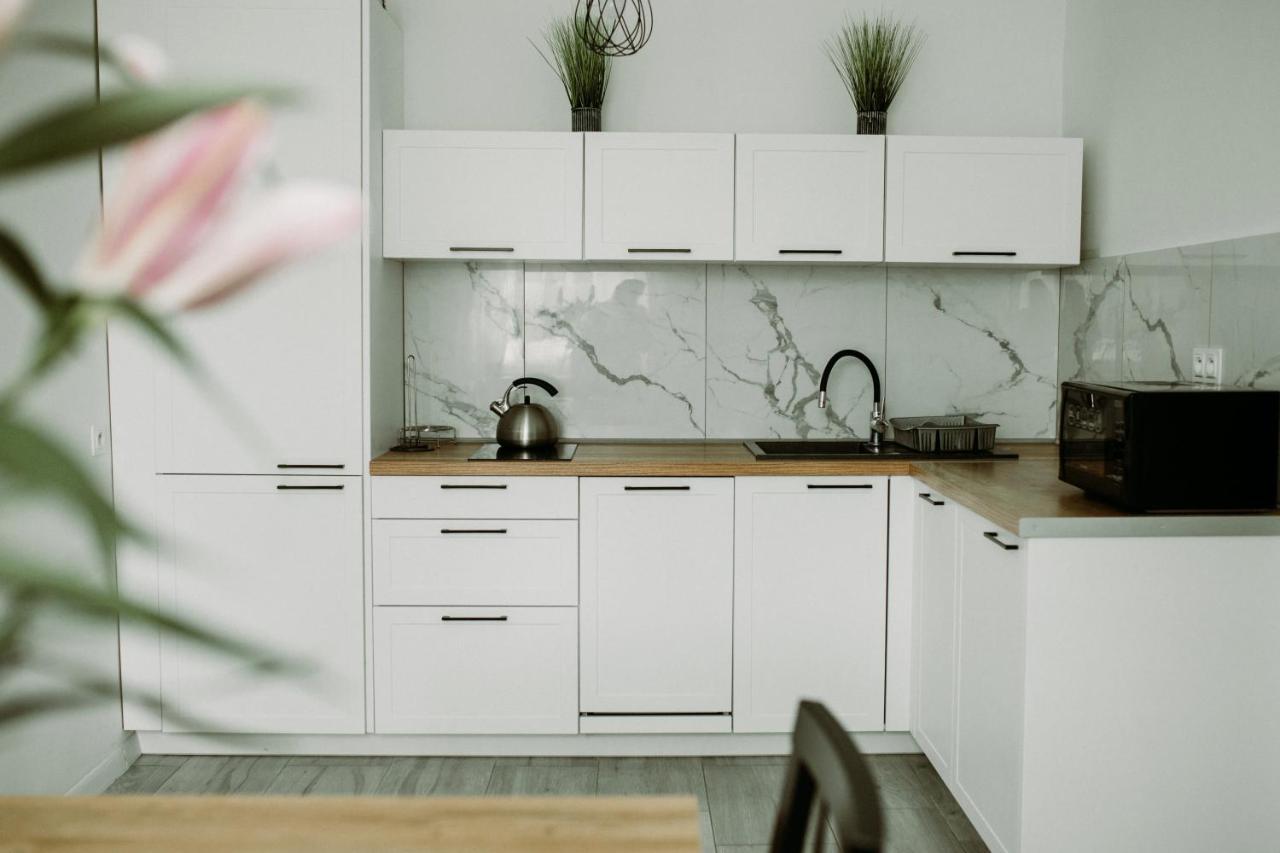 Apartament Magnolia -Centrum Тарнув Экстерьер фото